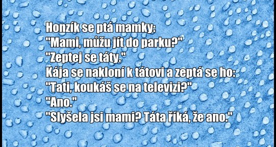 Vtip: Honzík se ptá mamky