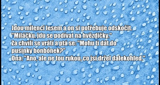 Vtip: Jdou milenci lesem